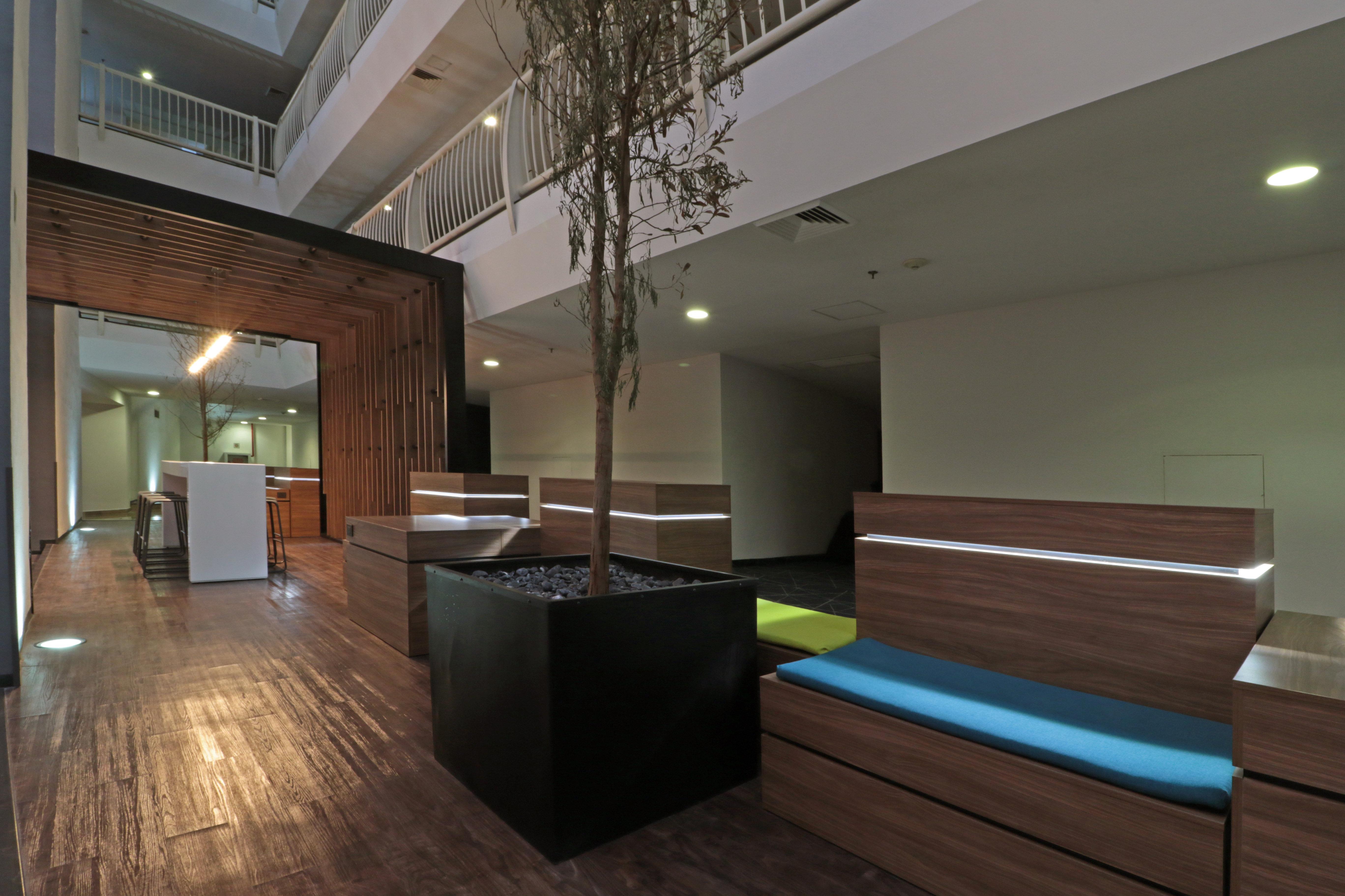 Holiday Inn Express San Luis Potosi By Ihg Екстер'єр фото